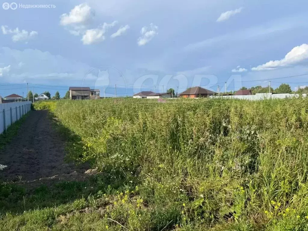 Участок в Тюменский муниципальный округ, деревня Нариманова (7.5 м) - Фото 1