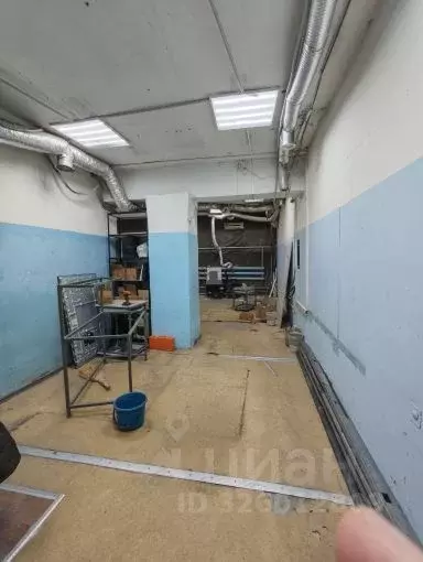 Склад в Алтайский край, Барнаул ул. Льва Толстого, 22 (58 м) - Фото 1