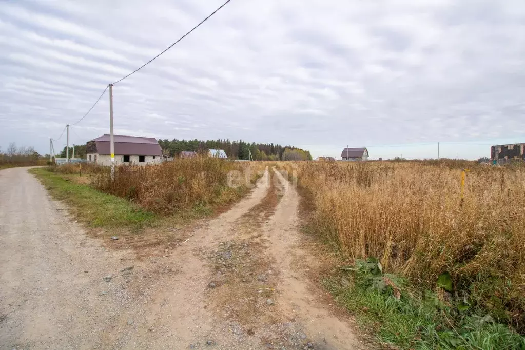 Участок в Тюменская область, Тюменский район, с. Салаирка Лесная ул. ... - Фото 0