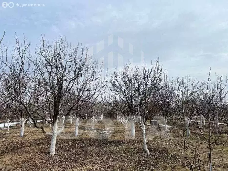 Дом в Дзержинское сельское поселение, СНТ Содружество, 75 (18 м) - Фото 2