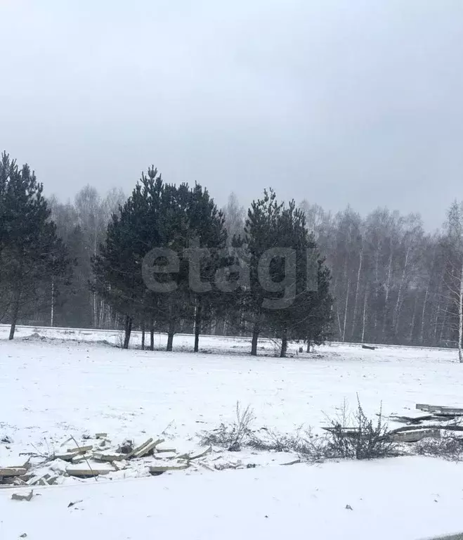 Участок в Владимирская область, Ковровский район, Доброград ... - Фото 1