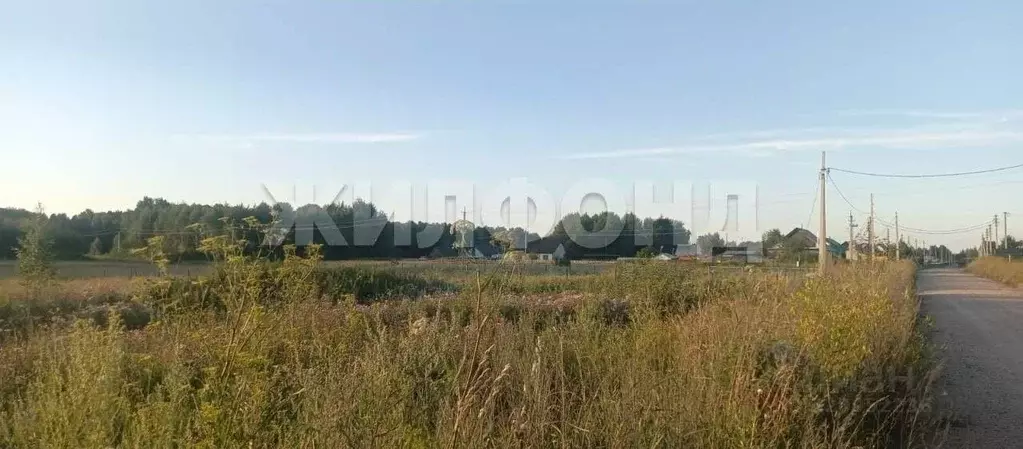Участок в Новосибирская область, Колыванский район, с. Скала ул. 60 ... - Фото 0