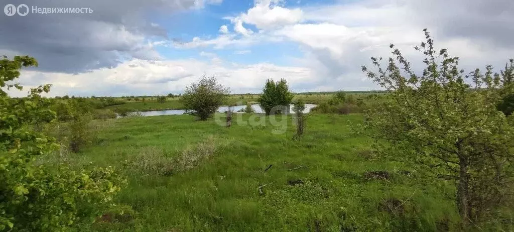 Участок в Рамонский район, Русскогвоздёвское сельское поселение, село ... - Фото 0