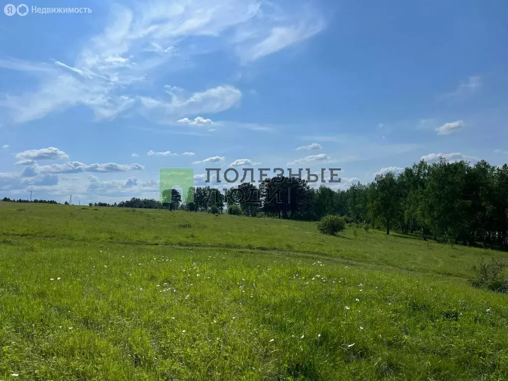 Участок в Сухобузимский район, Миндерлинский сельсовет (13.4 м) - Фото 1