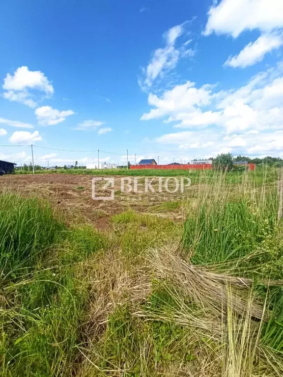 Участок в Костромская область, Кострома Первый кп, проезд Городецкий, ... - Фото 1