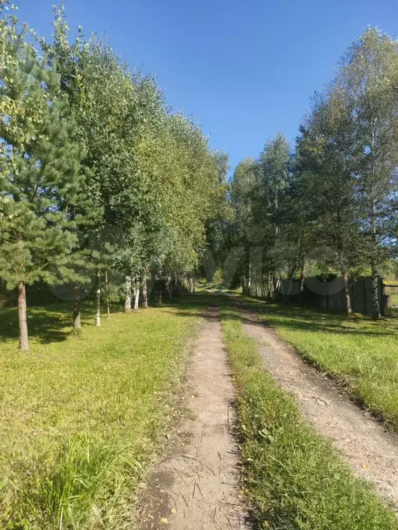 Участок 17 сот. (ИЖС) - Фото 0