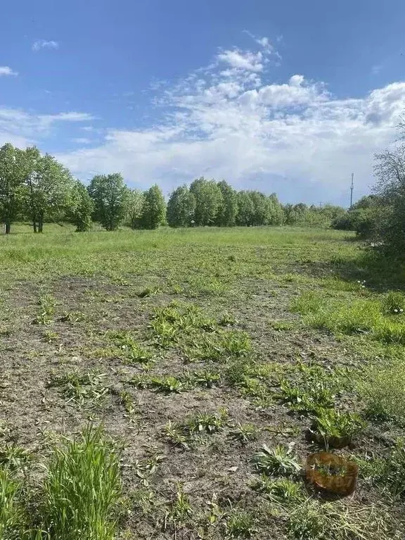 Участок в Белгородская область, Белгородский район, Майское с/пос, с. ... - Фото 0