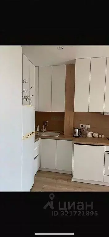 1-к кв. Новосибирская область, Новосибирск Красный просп., 167/3 (34.9 ... - Фото 2