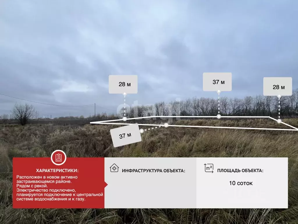 Участок в Архангельская область, Архангельск Малое Никольское ТСН,  ... - Фото 1