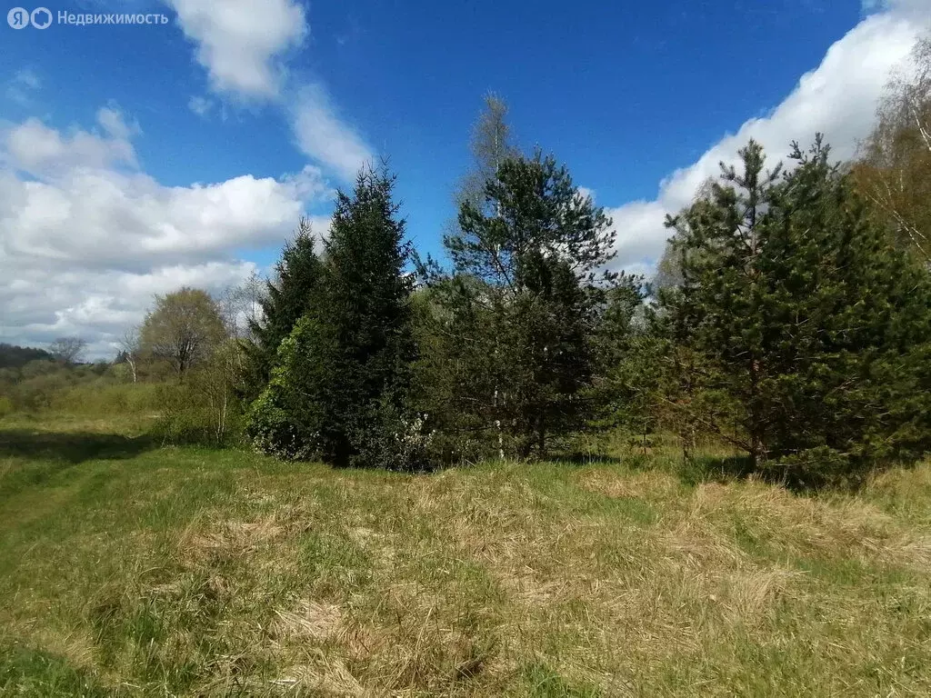 Дом в Псковский район, Торошинская волость, деревня Черняковицы (80 м) - Фото 1