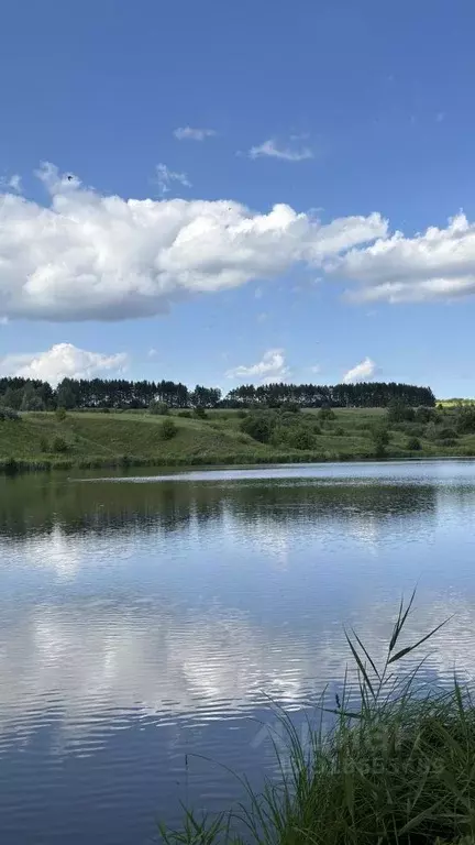 Участок в Ульяновская область, Ульяновский район, Ишеевское городское ... - Фото 1
