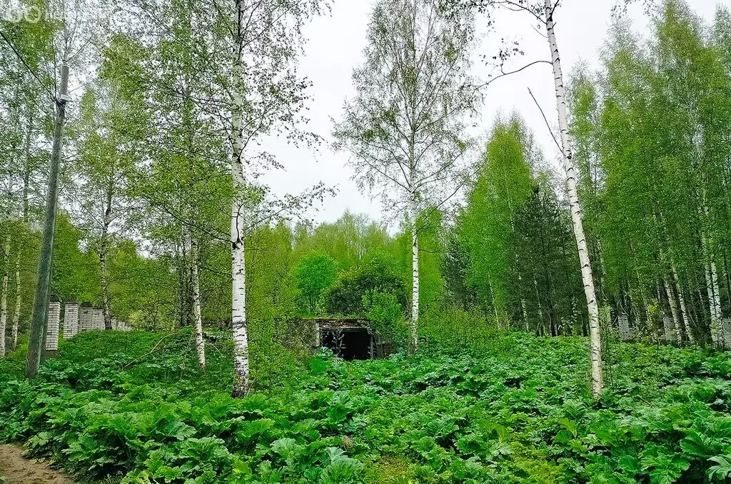 Участок в Бугровское городское поселение (15.34 м) - Фото 0