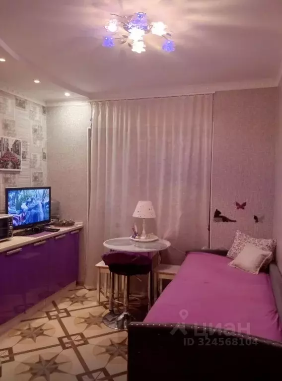 1-к кв. Московская область, Ногинск Богородский городской округ, ул. ... - Фото 1