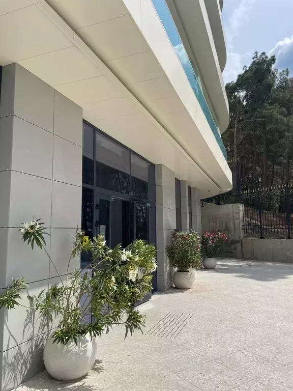 Студия Крым, Ялта ул. Дражинского, 45А (18.0 м) - Фото 1