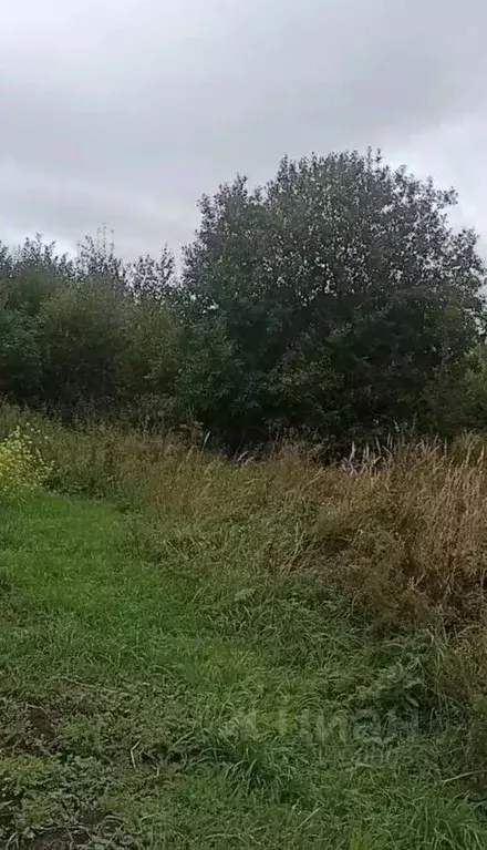 Участок в Московская область, Орехово-Зуевский городской округ, д. ... - Фото 1
