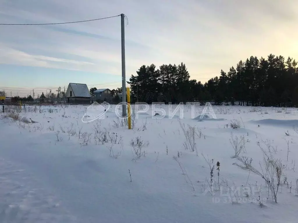 Участок в Тюменская область, Тюменский район, с. Каскара  (2800.0 ... - Фото 1