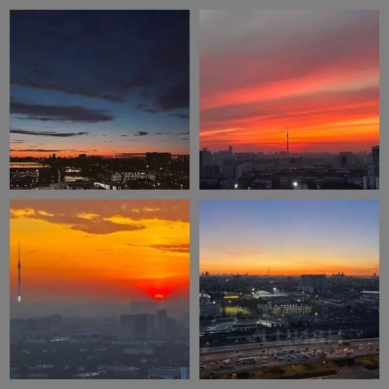 3-к кв. Москва Амурская ул., 2к2 (50.0 м) - Фото 2