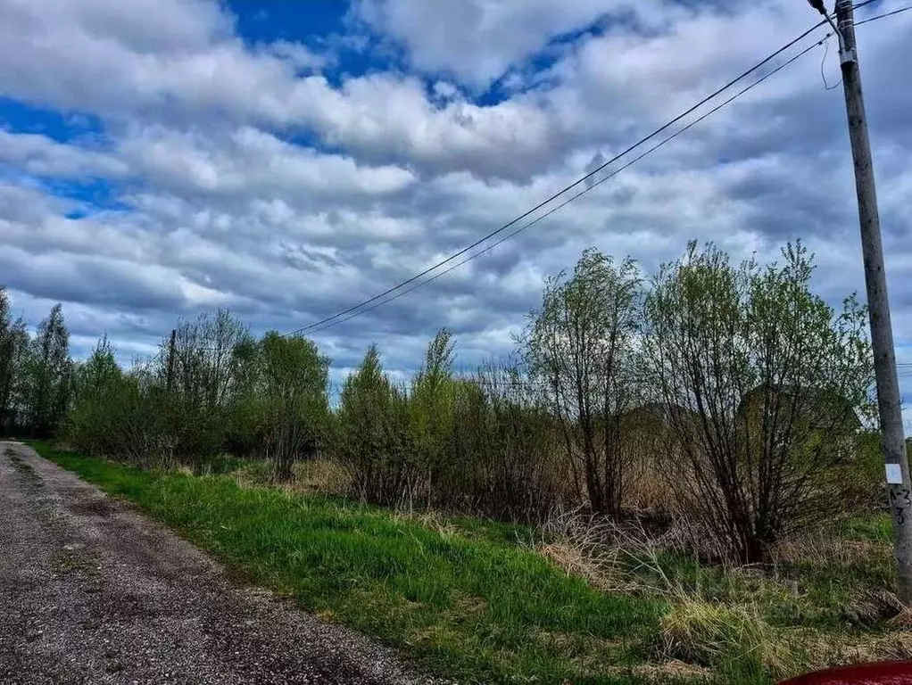 Участок в Новгородская область, Новгородский район, Савинское с/пос, ... - Фото 1