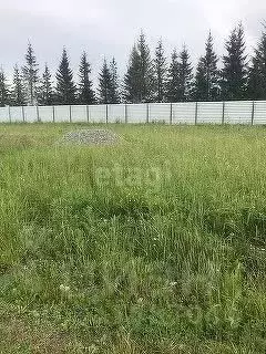 Участок в Новосибирская область, Искитимский район, Мичуринский ... - Фото 1