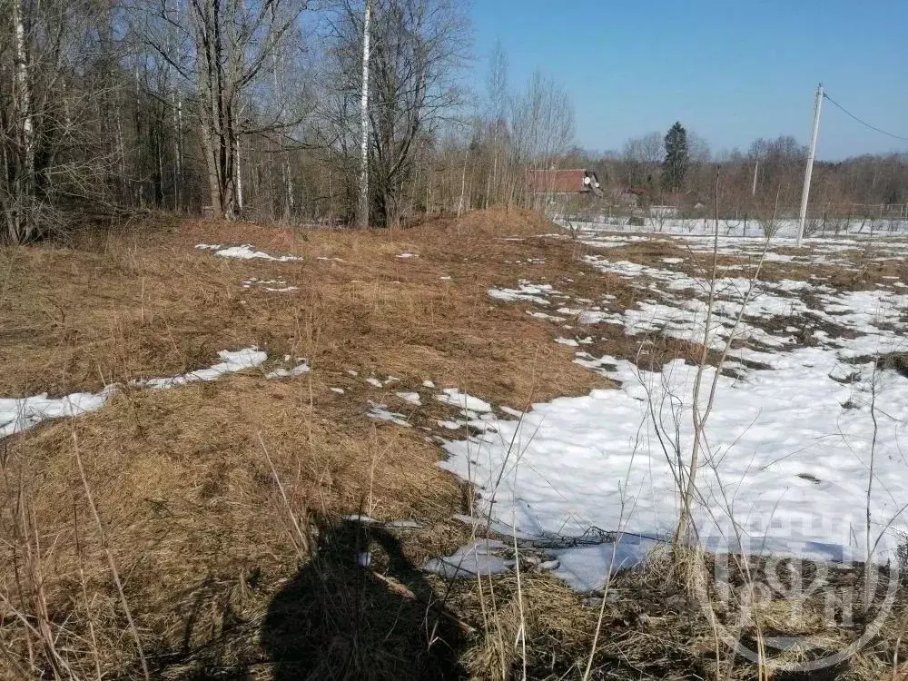 Участок в Ленинградская область, Лужский район, Ретюнское с/пос, д. ... - Фото 1