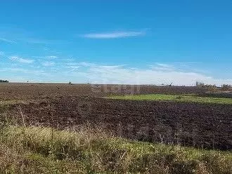 Участок в Белгородская область, Новооскольский муниципальный округ, с. ... - Фото 1