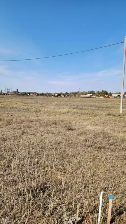 Участок в Оренбургская область, Оренбург городской округ, с. Городище  ... - Фото 1