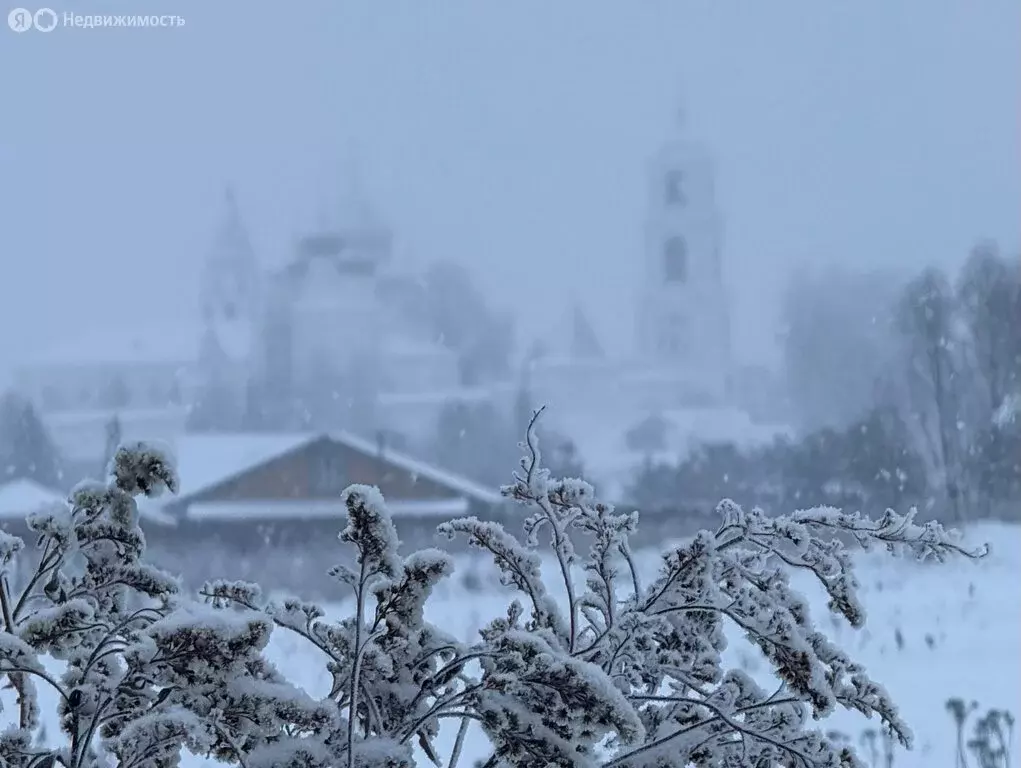 Участок в Ярославская область, Переславль-Залесский муниципальный ... - Фото 2