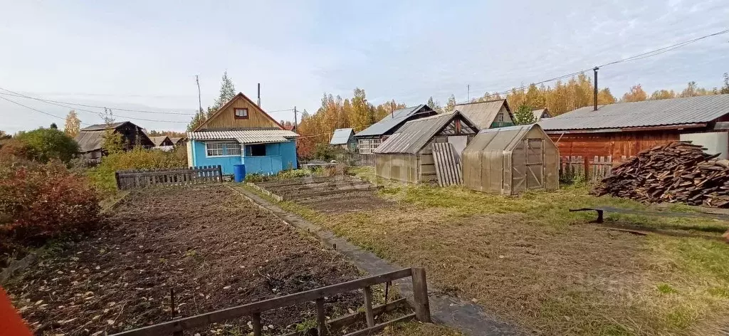 Купить Сад В Окрестностях Нижнего Тагила