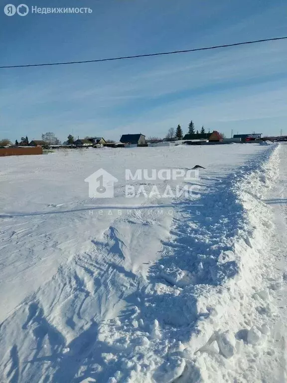 Участок в Омская область, Азовский немецкий район, деревня Кошкарево, ... - Фото 1