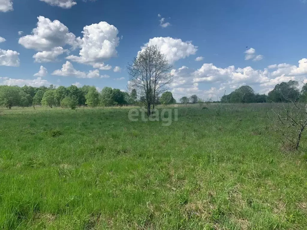 Участок в Калужская область, Боровский муниципальный округ, Совьяки ... - Фото 1