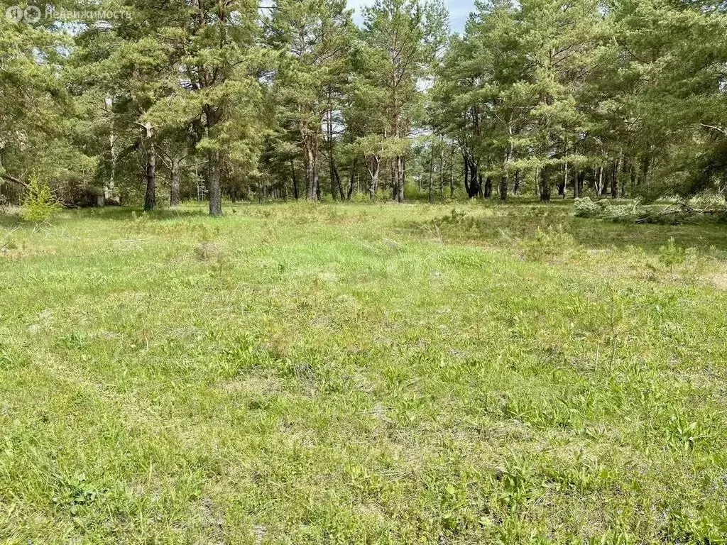 Участок в Калужская область, Дзержинский муниципальный округ, сельское ... - Фото 1