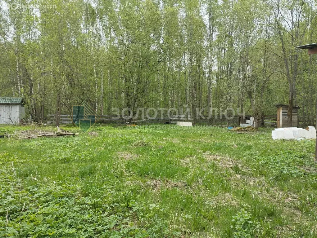 Участок в Талдомский городской округ, деревня Высочки (10 м) - Фото 2