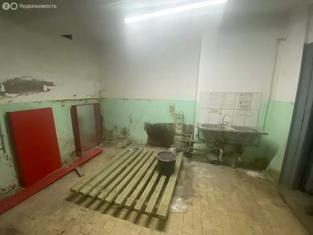 Помещение свободного назначения (546.8 м) - Фото 1