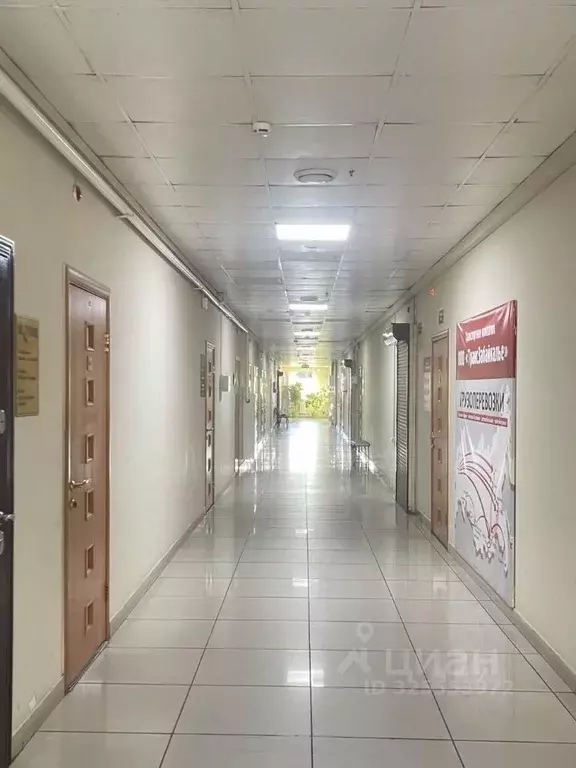 Офис в Забайкальский край, Чита ул. Бабушкина, 104 (19 м) - Фото 2