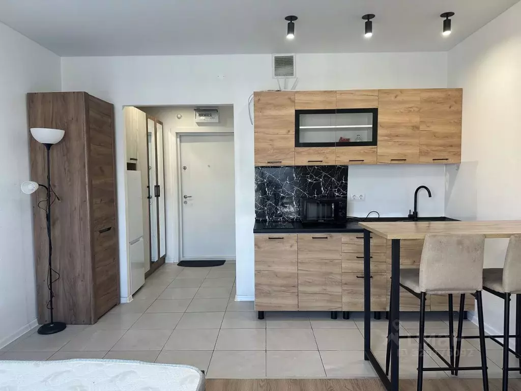 Студия Московская область, Красногорск городской округ, пос. ... - Фото 1