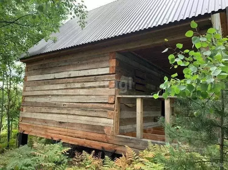 Участок в Иркутская область, Шелехов Багульник СНТ, 2 (8.2 сот.) - Фото 0