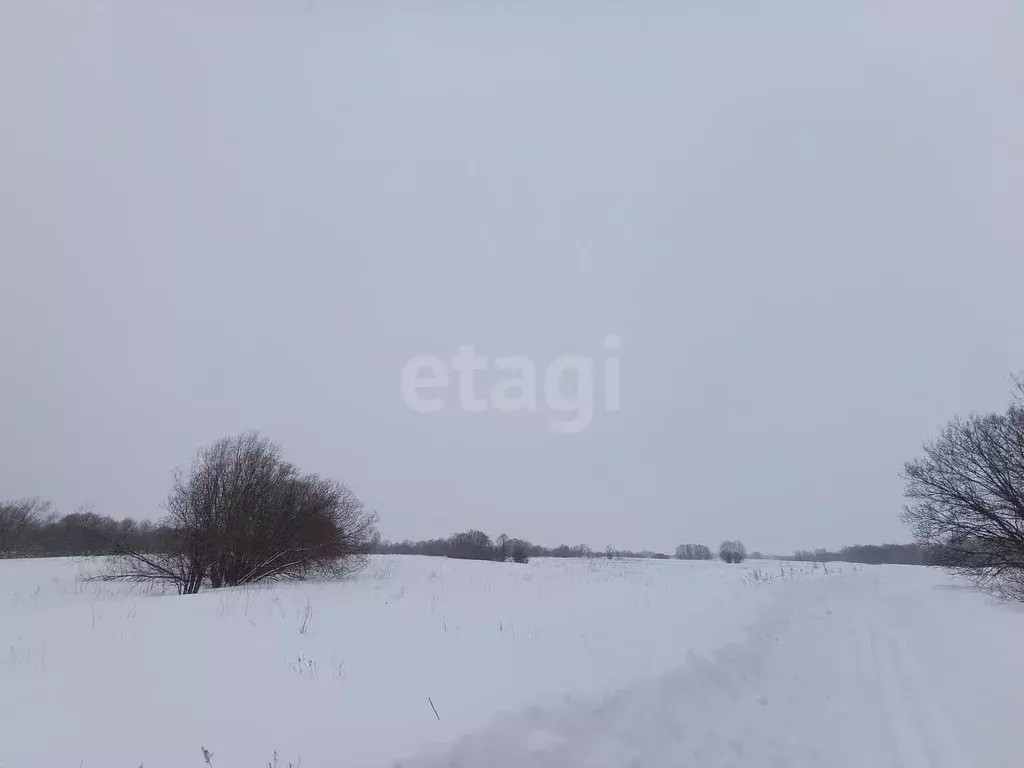 Участок, 347.9 сот., сельхоз (снт или днп) - Фото 1