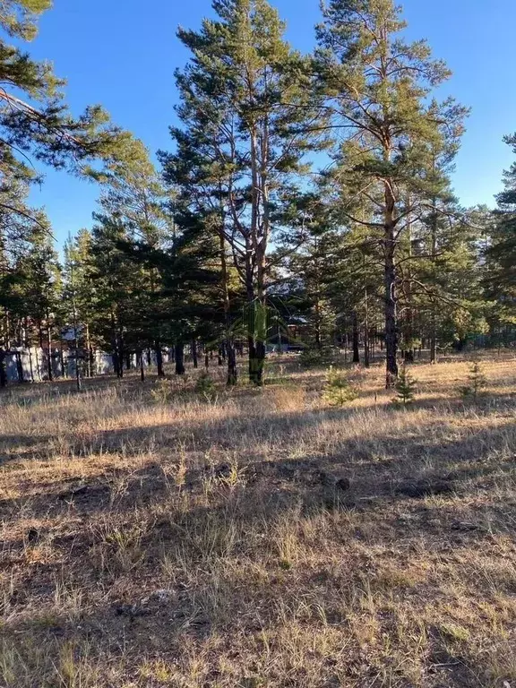 Участок в Бурятия, Иволгинский район, Сотниковское с/пос, с. ... - Фото 2