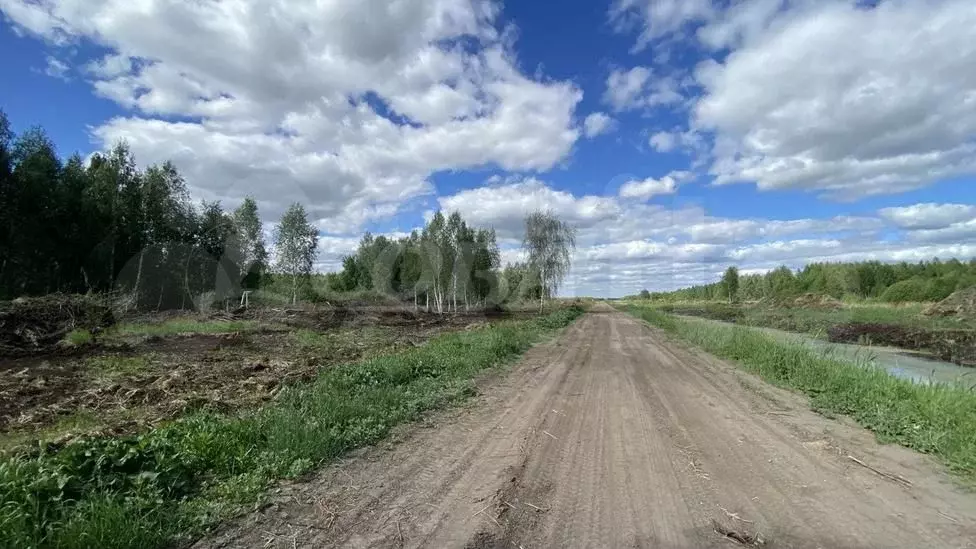 Участок 8 сот. (СНТ, ДНП) - Фото 1