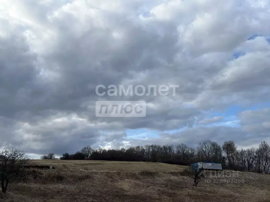 Участок в Курская область, Курский район, Полянский сельсовет, д. ... - Фото 2