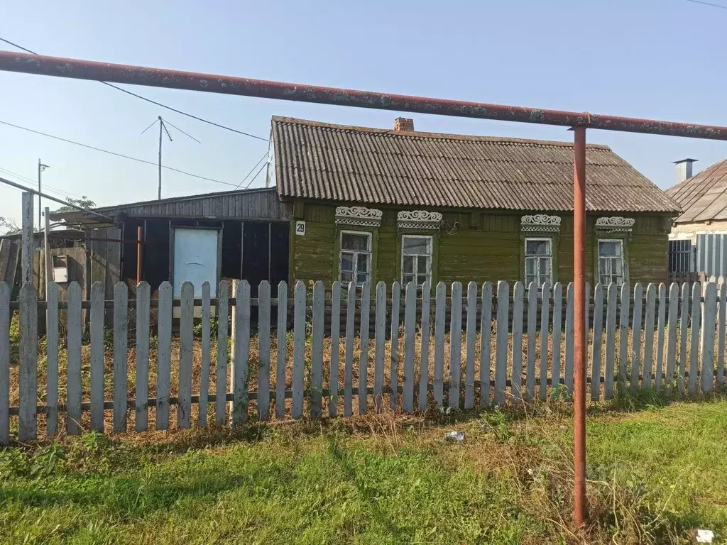 Дом в Тамбовская область, Тамбовский муниципальный округ, с. Троицкая ... - Фото 1