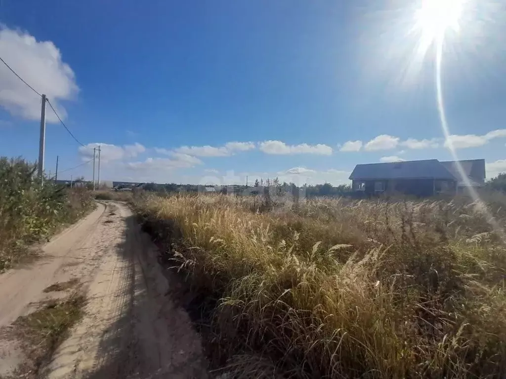 Участок в Саратовская область, Балашовский район, с. Репное Сосновая ... - Фото 1