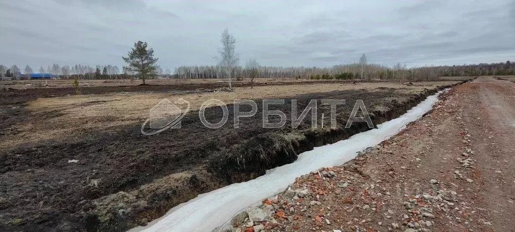 Участок в Тюменская область, Тюмень Большое Царево-1 СНТ,  (10.0 сот.) - Фото 1