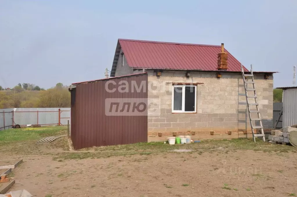 Дом в Амурская область, Благовещенский район, с. Новотроицкое ул. ... - Фото 2