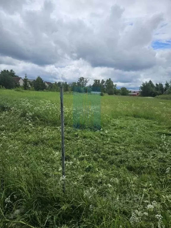 Участок в Московская область, Подольск городской округ, д. Матвеевское ... - Фото 1