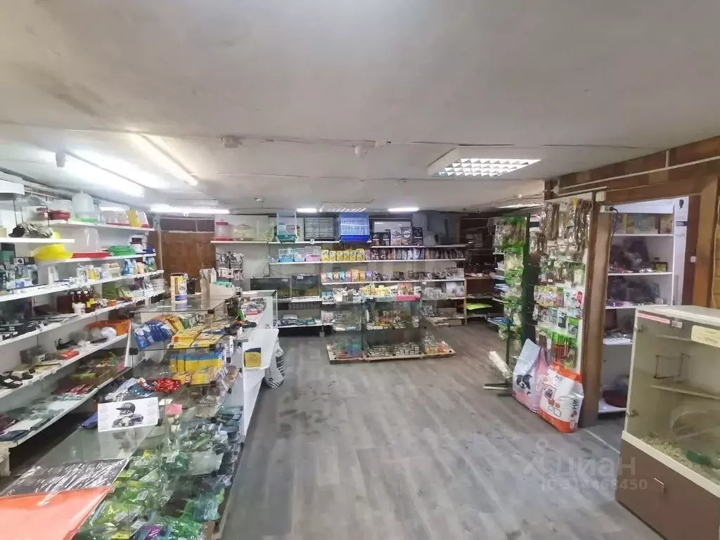 Торговая площадь в Свердловская область, Тугулым пгт ул. Ленина, 69 ... - Фото 1