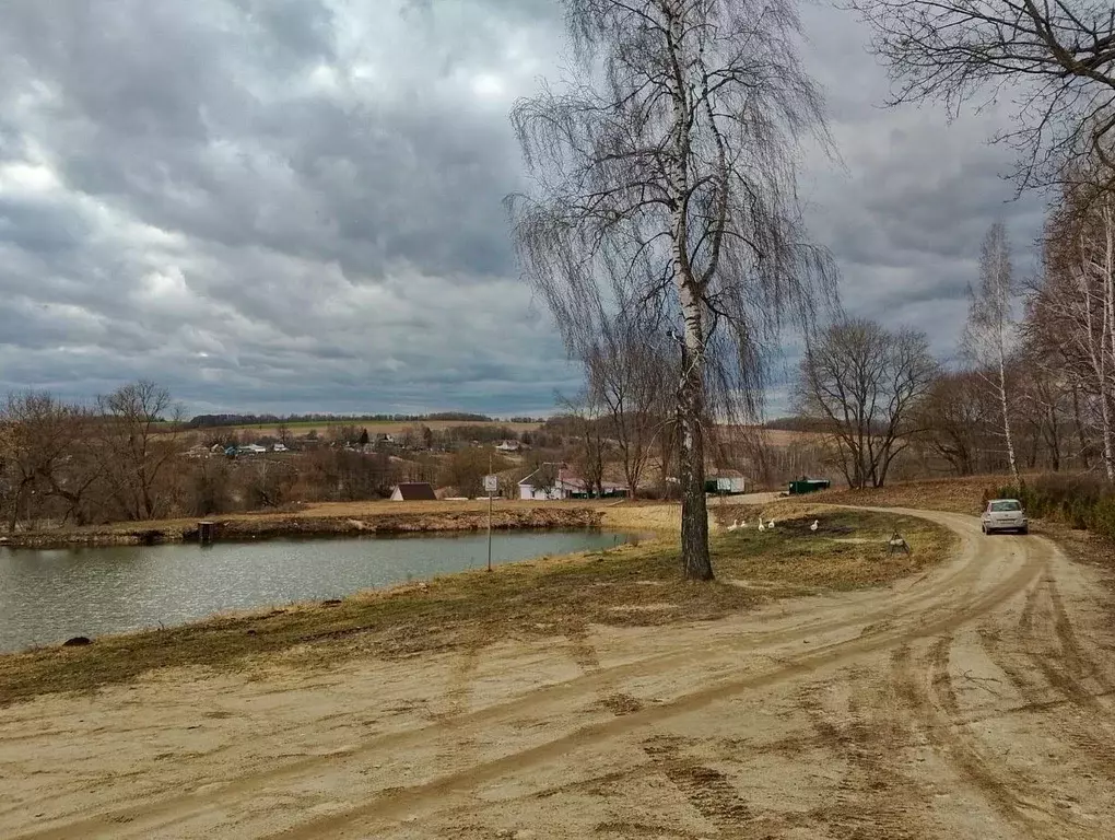 Участок в Калужская область, Козельский район, Подборки с/пос, с. ... - Фото 0