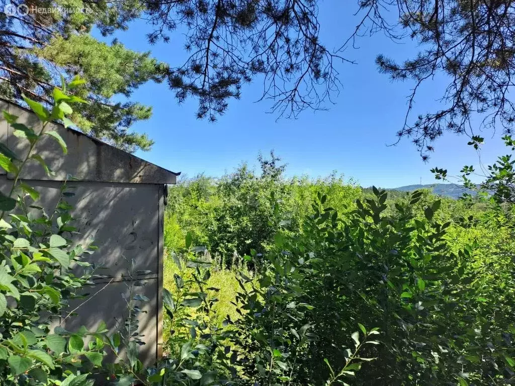 Участок в Миасс, СНТ Локомотив (5 м) - Фото 2