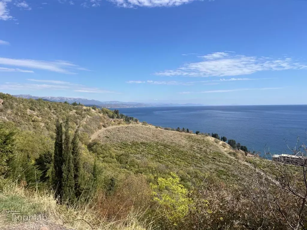 Участок в Крым, Алушта муниципальный округ, с. Лазурное ул. Слуцкого ... - Фото 1