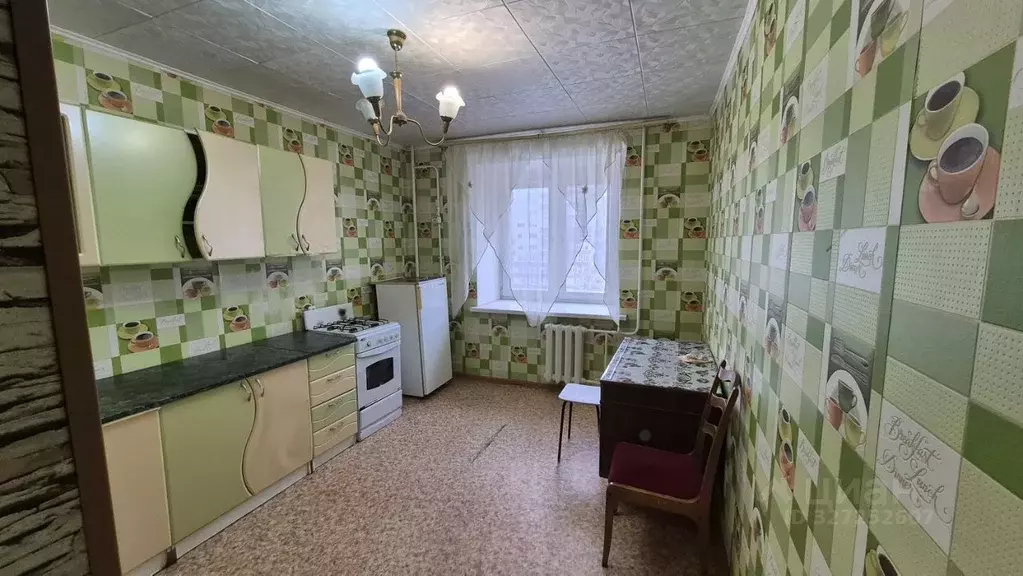 1-к кв. Пензенская область, Пенза ул. Кижеватова, 10 (26.0 м) - Фото 1